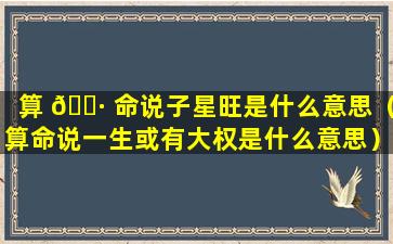 算 🕷 命说子星旺是什么意思（算命说一生或有大权是什么意思）